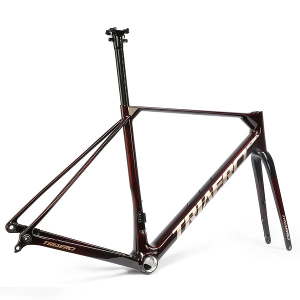 ICAN Flyee road bike disc frame