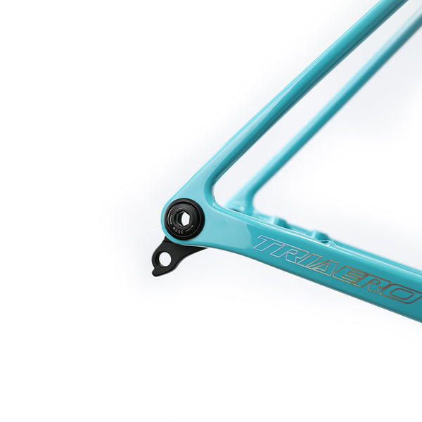 ICAN Flyee road bike disc frame